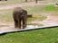Alloura Waters Dubbo Zoo Tour - March 2024 Image -65ff40925f5fc